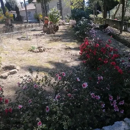 Quinta Da Cartida Santa Marinha do Zêzere