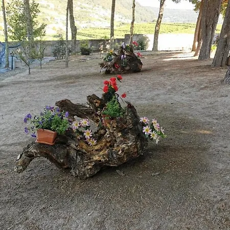 Quinta Da Cartida *