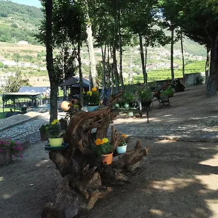 Quinta Da Cartida Santa Marinha do Zêzere