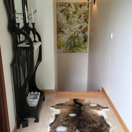 Quinta Da Cartida * Santa Marinha do Zêzere