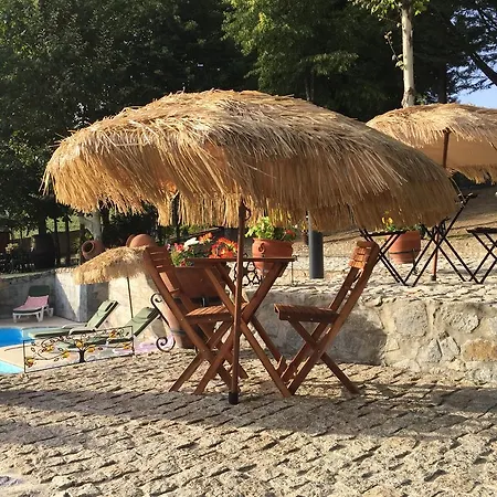 Quinta Da Cartida * Santa Marinha do Zêzere