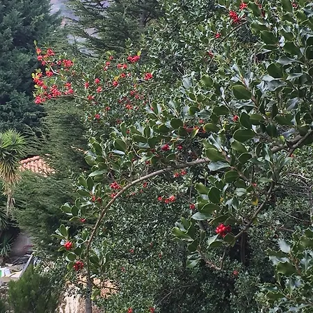 Сasa de vacaciones Quinta Da Cartida