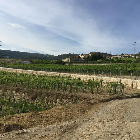 בית נופש Quinta Da Cartida Santa Marinha do Zêzere