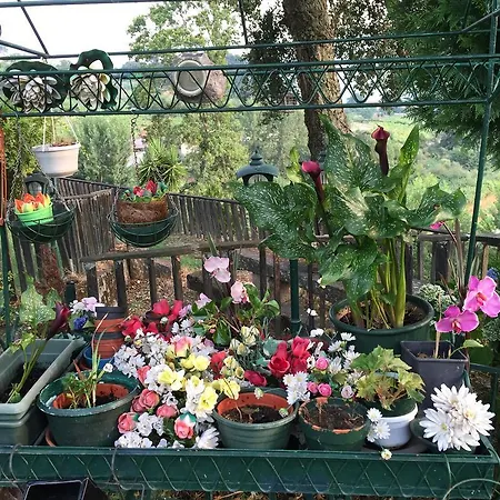 Сasa de vacaciones Quinta Da Cartida