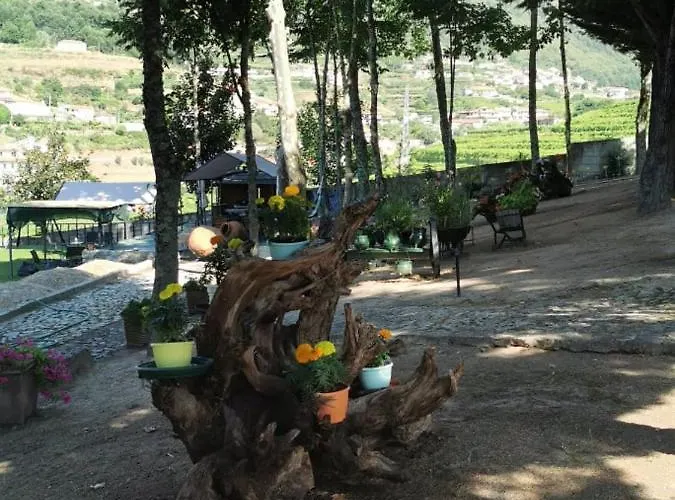 Quinta Da Cartida Santa Marinha do Zêzere