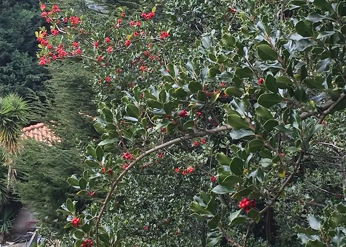 펜션 Quinta Da Cartida