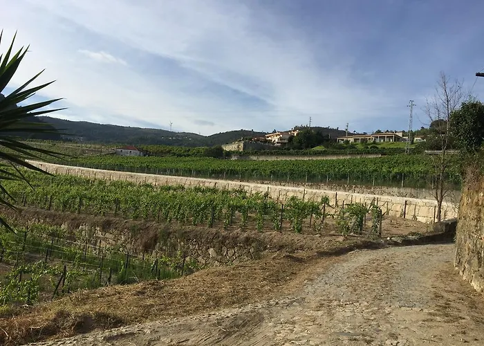 펜션 Quinta Da Cartida Santa Marinha do Zêzere