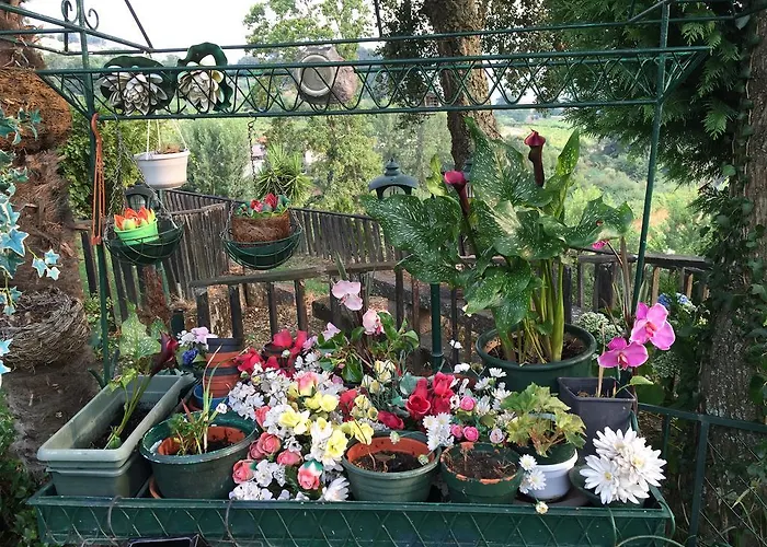 펜션 Quinta Da Cartida